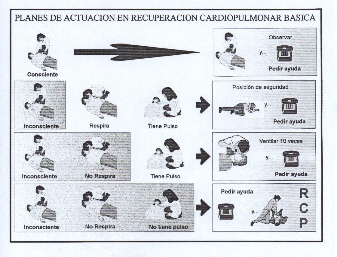 Reanimación y respiración cardiaca