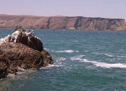 Paracas, PERU