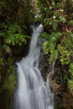 Peulla, Guia de la Ciudad - Puerto Varas, Chile.  Peulla - CHILE