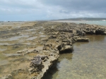 Maceió Braisl. Guia de Viajes, informacion, tour, que hacer, que ver.  Maceio - BRASIL