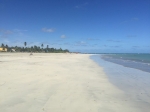 Maceió Braisl. Guia de Viajes, informacion, tour, que hacer, que ver.  Maceio - BRASIL