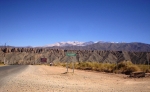 Payogasta, Guia de la ciudad. Salta. Argentina.  Payogasta - ARGENTINA