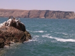 Paracas, Guia e informacion de la ciudad de Paracas en Peru.  Paracas - PERU