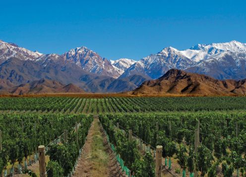 Valle de Uco,  - ARGENTINA 