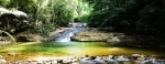 Parque Nacional y Floresta da Tijuca, Rio de Janeiro - Brasil.  Río de Janeiro - BRASIL