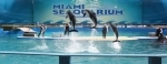 Miami Seaquarium. Guia de atracciones de Miami. que hacer, que ver, informacion.  Miami, FL - ESTADOS UNIDOS