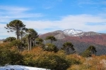 Parque Nacional Villarrica en Pucon.  Pucon - CHILE