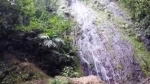 Parque nacional La Tigra, Tegucigalpa, Honduras, Guia de Parques Nacionales.  Tegucigalpa - HONDURAS