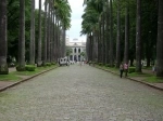 Plaza da Liberdade, Belo Horizonte. Guia de Belo Horizonte, Brasil..  Belo Horizonte - BRASIL