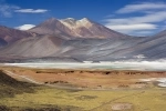 Reserva Nacional Los Flamencos, San Pedro de Atacama, Hoteles, Parques Nacionales.  San Pedro de Atacama - CHILE