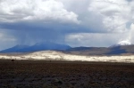 Reserva Nacional Las Vicunas.  Putre - CHILE