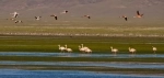 Monumento Natural Laguna de los Pozuelos.  San Salvador de Jujuy - ARGENTINA