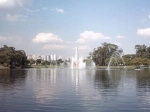 Parque de Ibirapuera.  Sao Paulo - BRASIL