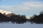 Cerro Castor, Usuahia, Centro de Ski, Argentina.  Ushuaia - ARGENTINA