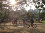 Parque Moinhos de Vento, Guia de Atractivos de Porto Alegre. Brasil.  Porto Alegre - BRASIL