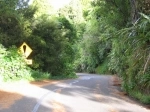 Parque Regional Waitakere Ranges, Auckland, Nueva Zelanda. Guia, Informacion.  Auckland - NUEVA ZELANDIA