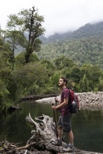 Parque Nacional Alerce Andino.  Puerto Montt - CHILE