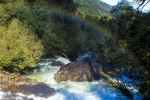 Parque Nacional Alerce Andino.  Puerto Montt - CHILE