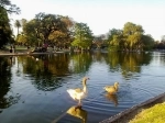 Bosques de Palermo, Buenos Aires, Argentina, Guia de Buenos Aires.  Buenos Aires - ARGENTINA