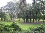 Bosques de Palermo, Buenos Aires, Argentina, Guia de Buenos Aires.  Buenos Aires - ARGENTINA