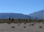 Parque Nacional Los Cardones, Parques nacionales, Argentina, Salta.  Payogasta - ARGENTINA