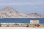 Parque Nacional Pan de Azucar - Antofagasta.  Antofagasta - CHILE