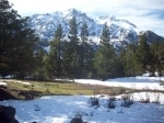 Parque Nacional Laguna del Laja.  Los Angeles - CHILE