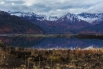 Parque Nacional Conguillío.  Lonquimay - CHILE