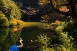 Parque Nacional Huerquehue, Guia de parques nacionales en Chile.  Pucon - CHILE