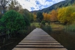 Parque Nacional Huerquehue, Guia de parques nacionales en Chile.  Pucon - CHILE