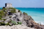 Tulum, Informacion general. que ver, que hacer. Mexico.  Cancún - MEXICO