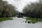 Everglades National Park, es Patrimonio de la Humanidad y se encuentra en el extremo suroeste de los Estados Unidos en el estado de Florida..  Miami, FL - ESTADOS UNIDOS