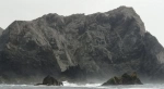 Isla Chañaral.  Punta de Choros - CHILE