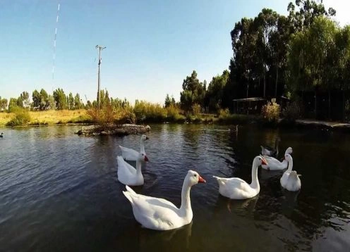 Jardín botanico de la Universidad de Talca, Talca