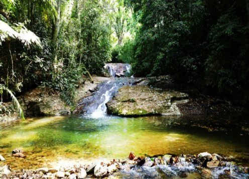 Parque Nacional y Floresta da Tijuca, 