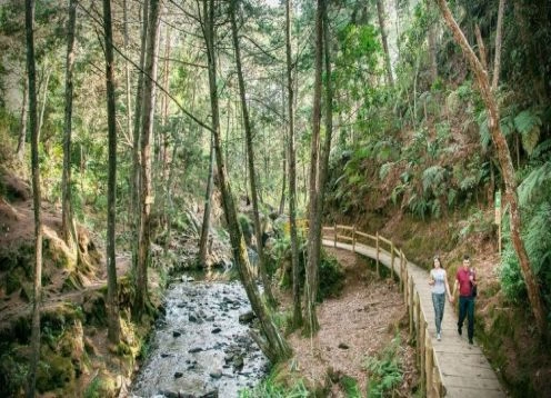 Parque ecoturstico Arv, 