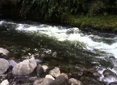 Río Pescado, Puerto Varas