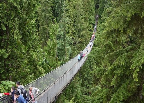 Puente colgante de Capilano, 