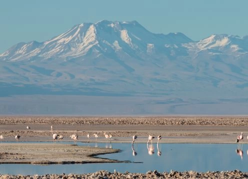 Laguna Chaxa, San Pedro de Atacama