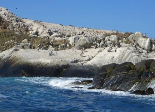 Monumento natural Isla Cachagua, Zapallar