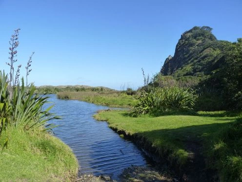 Parque Regional Waitakere Ranges