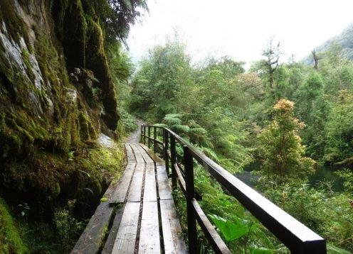 Parque Nacional Alerce Andino