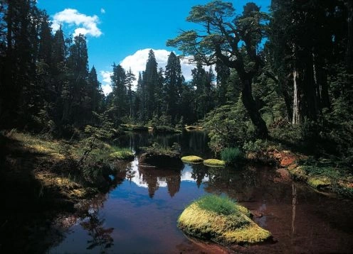 Parque Nacional Hornopiren