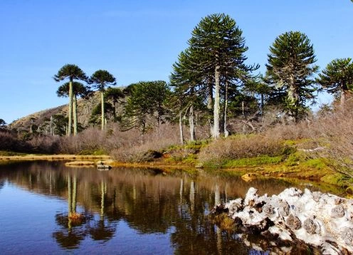 Parque Nacional Tolhuaca, Victoria