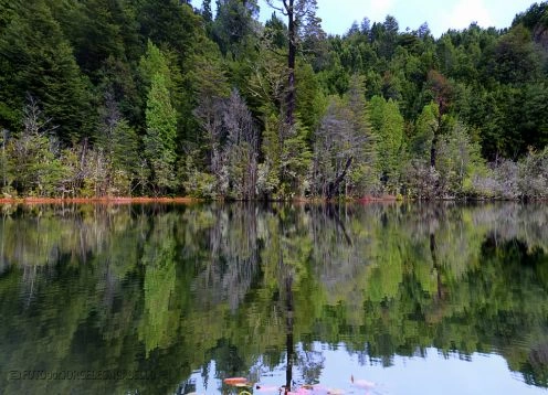 Parque Nacional Puyehue