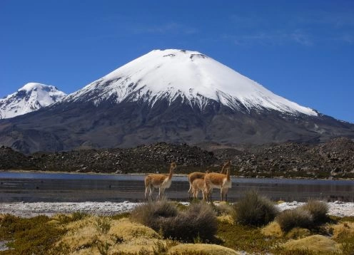 Volcan Parinacota, Arica