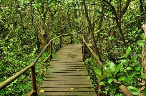 Parque Nacional Fray Jorge, Ovalle