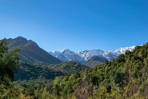 Reserva Nacional Río Clarillo, Santiago