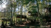 Canopy Village, Huilo Huilo, CHILE