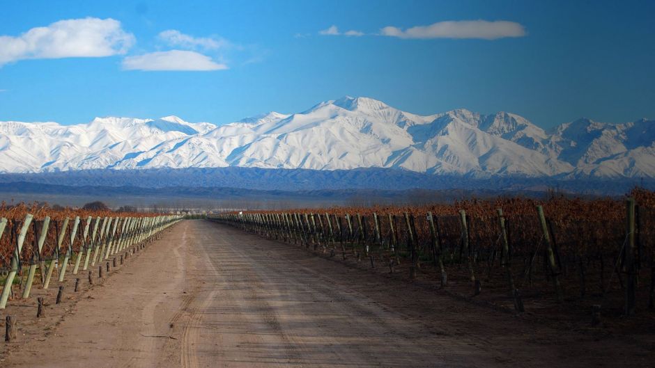 MENDOZA Y SUS VINOS, , 